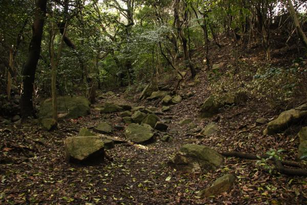 皿倉山ー牛斬山縦走開始です。前日の雨で足元ぬかるんでます。